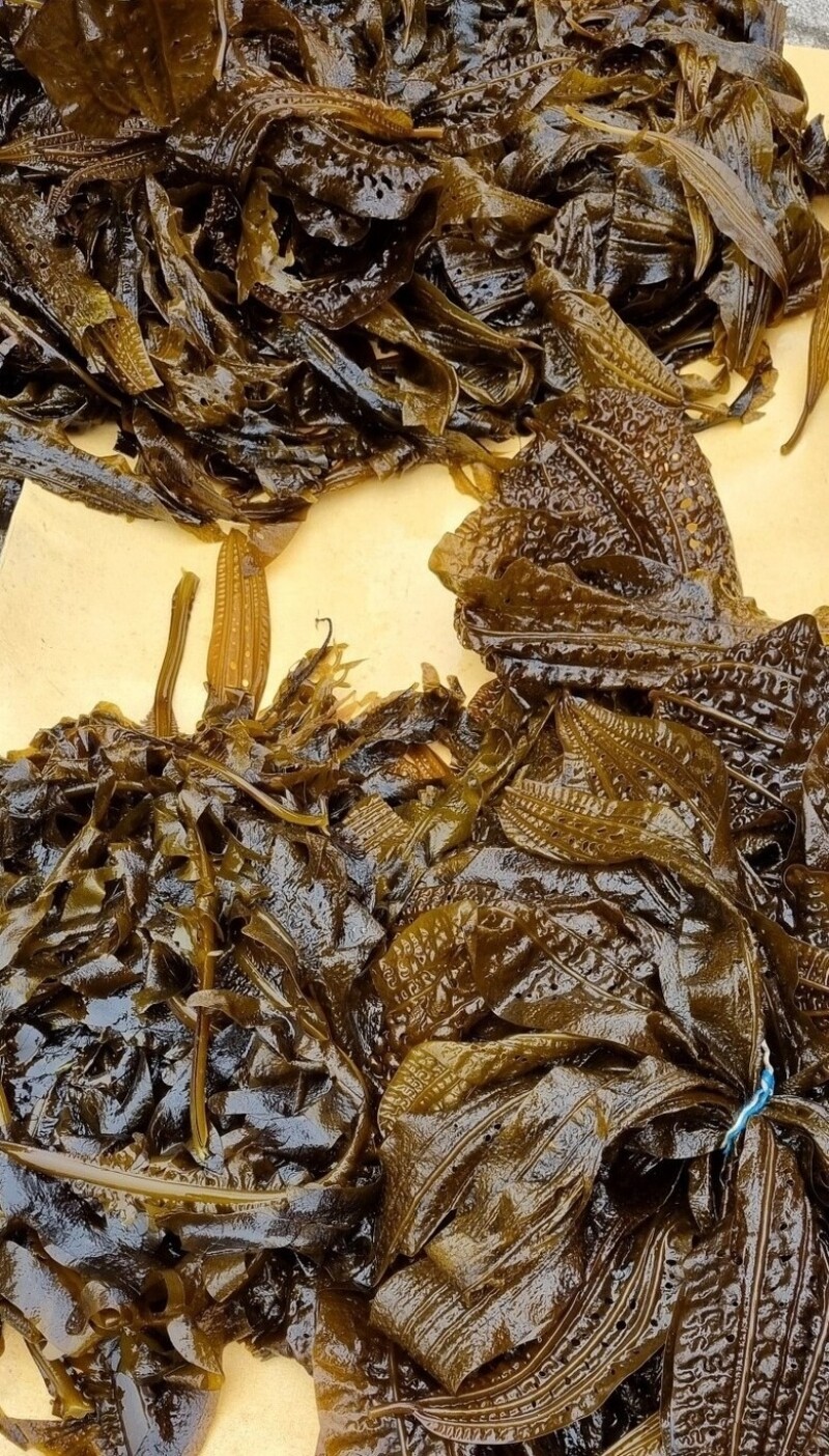 조이푸드,강원도 고성 해녀 자연산 생미역