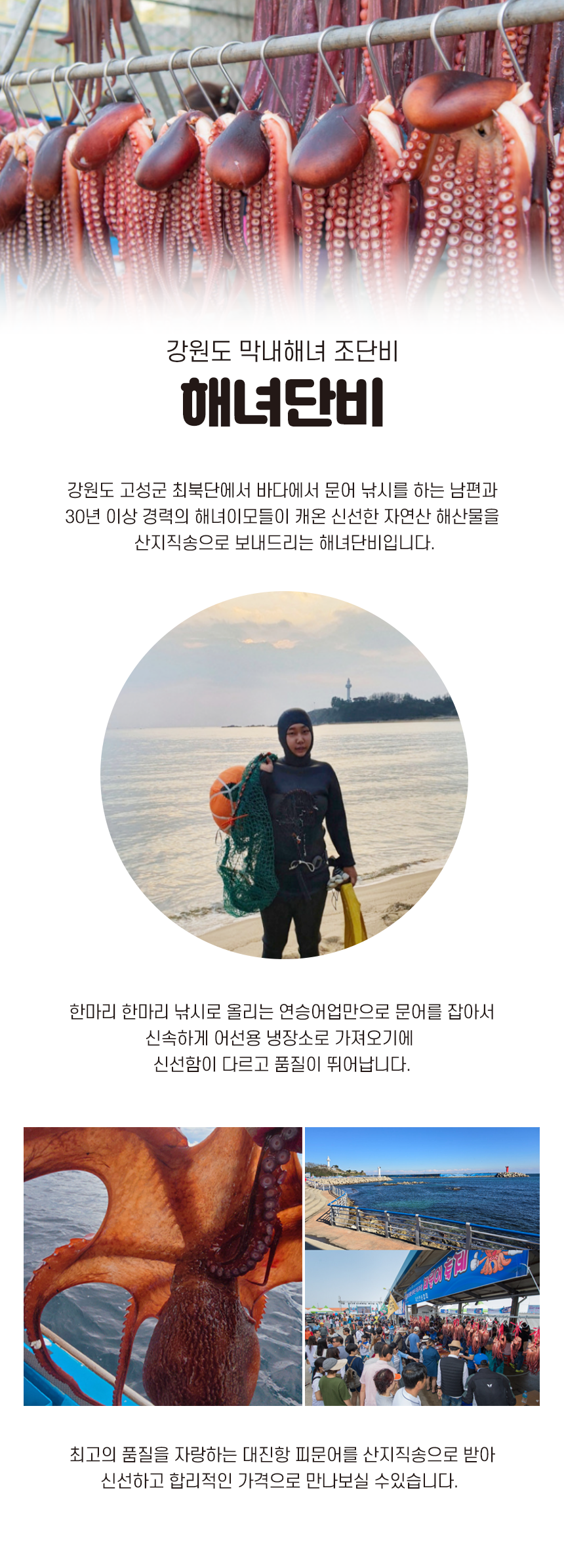 해녀단비 소개